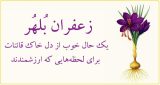 بلهر، سایت فروش آنلاین زعفران قائنات